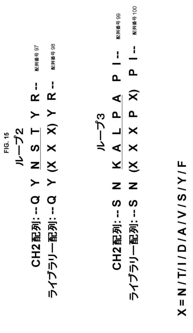 5889533-改変された抗体定常ドメイン分子 図000046