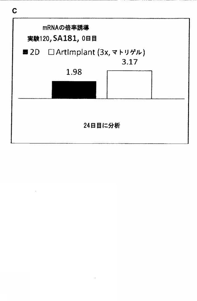 6025715-多能性幹細胞の肝細胞への分化を向上する三次元スキャホールド 図000046