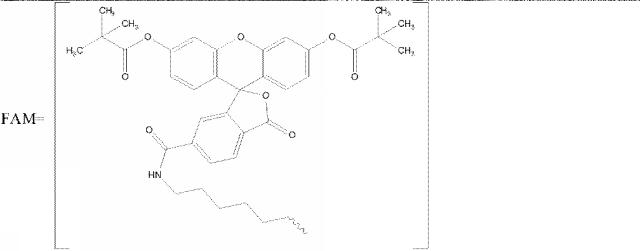 6255092-ＰＣＳＫ９を標的とするアンチセンスオリゴマーおよびコンジュゲート 図000046