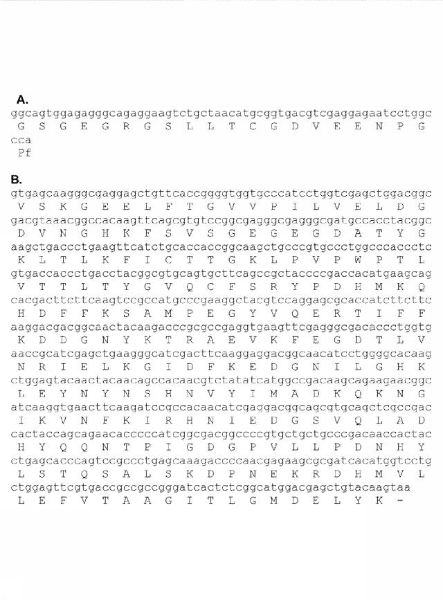 6259766-フラタキシンレベルを増加させる方法および生成物ならびにその使用 図000046