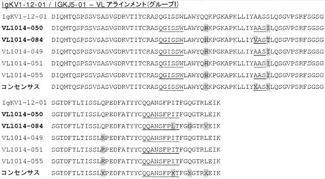 6341963-ＨＥＲ２に対するモノクローナル抗体 図000046