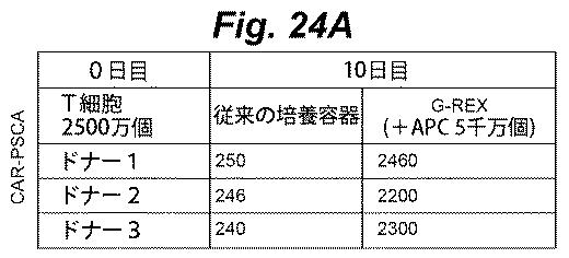 6386447-養子細胞療法のための改良された細胞培養法 図000046