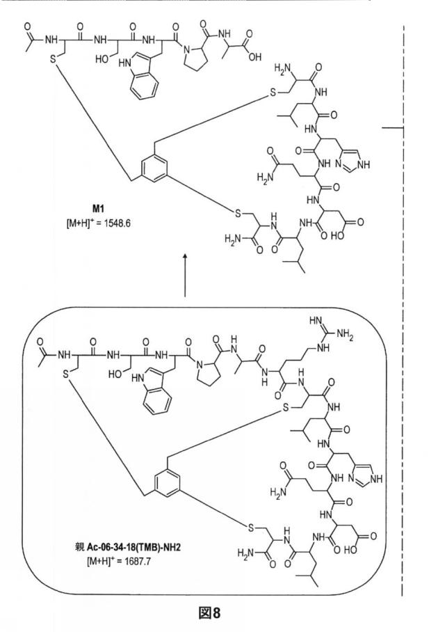 6588890-構築されたポリペプチド特異性のモジュレーション 図000046