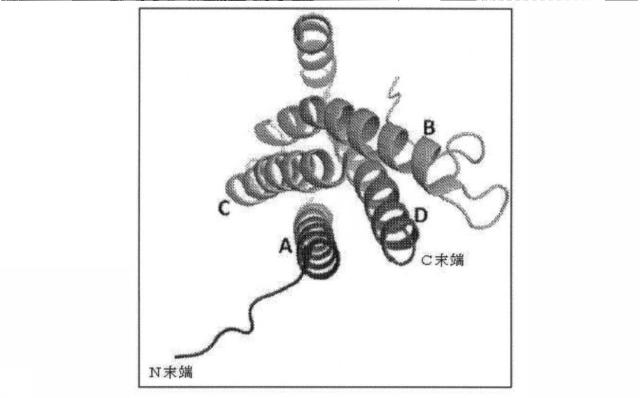 6591392-ＩＬ−６に結合するアプタマー及びＩＬ−６介在性状態の治療または診断におけるそれらの使用 図000046