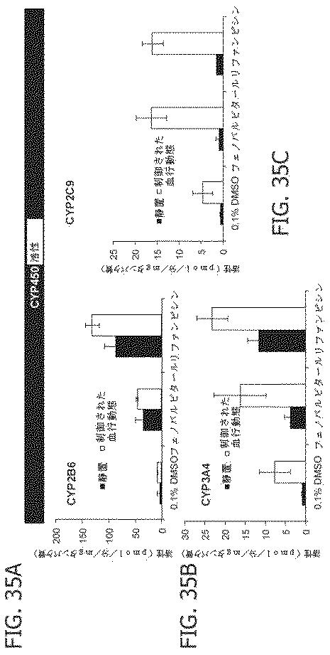 6684706-腫瘍微細環境のための試験管内モデル 図000046