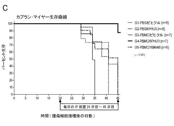 6799101-クローディンを発現するガン疾患を処置するための剤 図000046