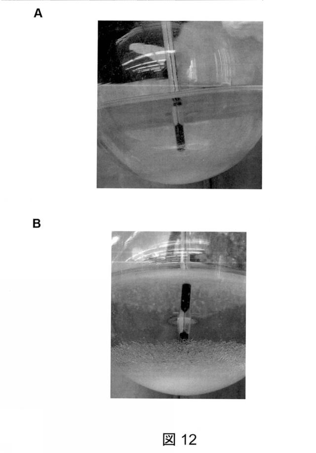 6825082-硫酸リチウムおよび硫酸を含む水性組成物を処理する方法 図000046