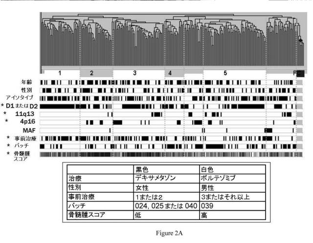 5725711-癌治療法を有する患者の同定、評価、および治療のための方法 図000047