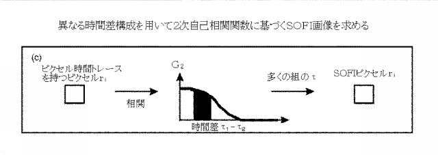 5856252-超解像光ゆらぎイメージング（ＳＯＦＩ） 図000047