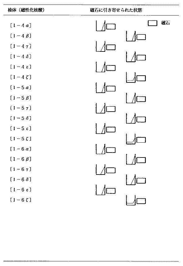 5899577-強磁性を有する核酸の合成方法と利用方法 図000047