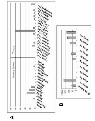 5922159-腫瘍診断と治療のための表面関連抗原の同定 図000047