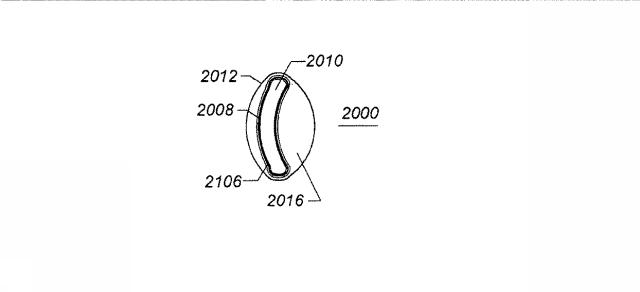 6069392-拡張可能な腸骨シースと使用方法 図000047