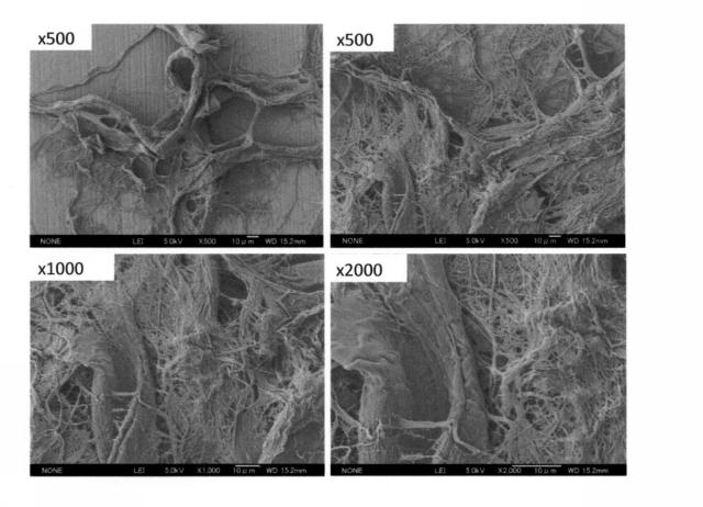 6091589-化学修飾セルロースナノファイバー及び熱可塑性樹脂を含有する繊維強化樹脂組成物 図000047