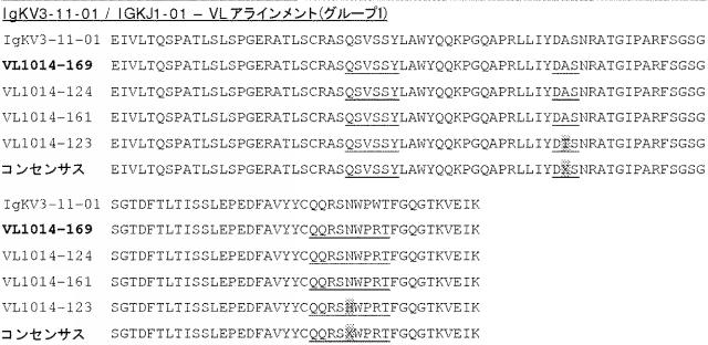 6341963-ＨＥＲ２に対するモノクローナル抗体 図000047