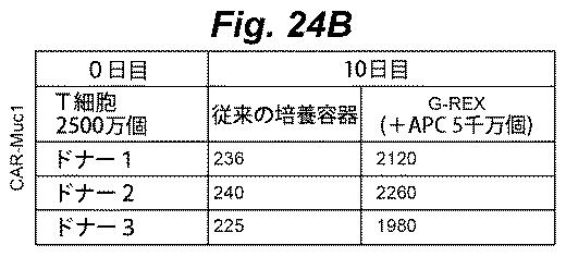 6386447-養子細胞療法のための改良された細胞培養法 図000047