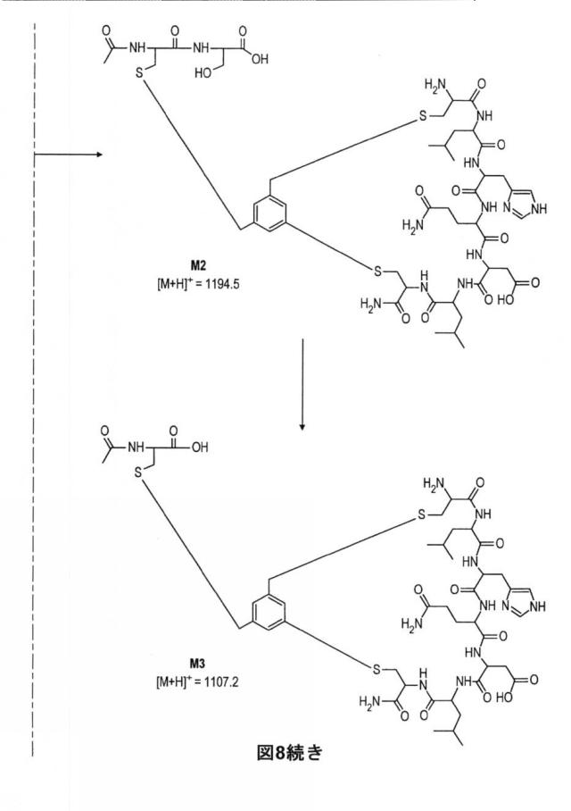 6588890-構築されたポリペプチド特異性のモジュレーション 図000047