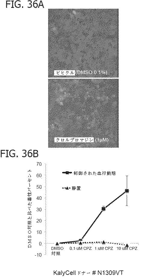 6684706-腫瘍微細環境のための試験管内モデル 図000047