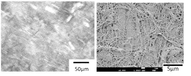 6775160-疎水化セルロース系繊維用の解繊助剤、それを使用する樹脂組成物の製造方法並びに成形体 図000047