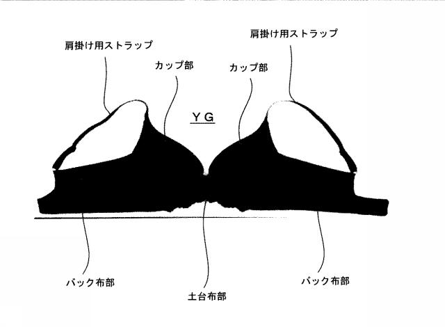 6874237-カップ部用樹脂ワイヤー、及びカップ部付き衣類 図000047