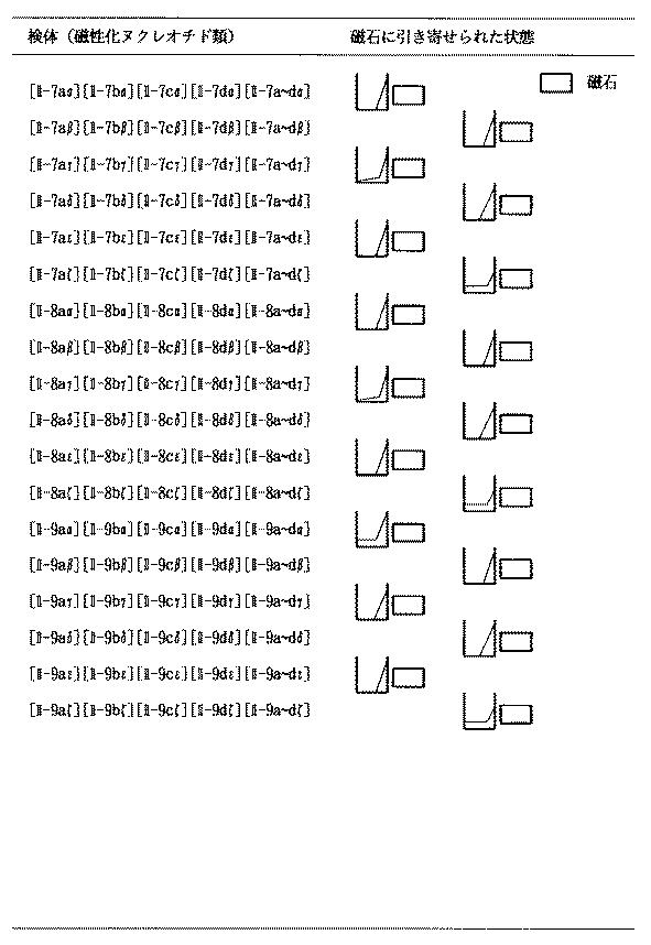 5899577-強磁性を有する核酸の合成方法と利用方法 図000048