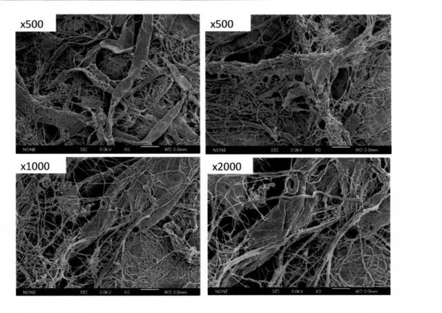 6091589-化学修飾セルロースナノファイバー及び熱可塑性樹脂を含有する繊維強化樹脂組成物 図000048