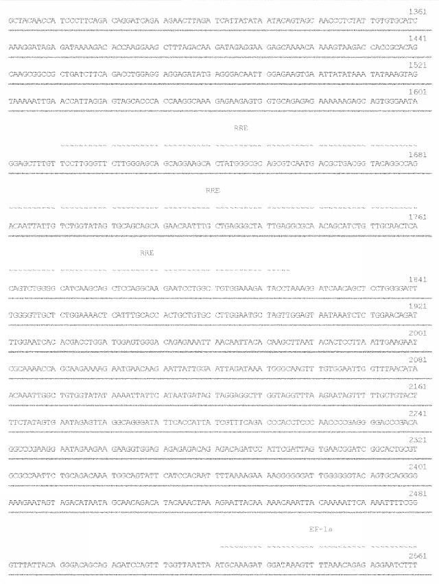 6259766-フラタキシンレベルを増加させる方法および生成物ならびにその使用 図000048