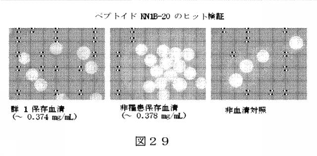 6412798-リガンドライブラリーを用いた診断および処置方法 図000048