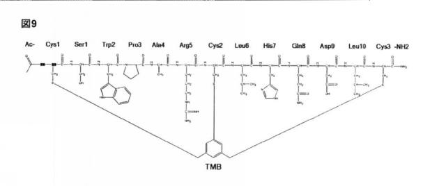 6588890-構築されたポリペプチド特異性のモジュレーション 図000048