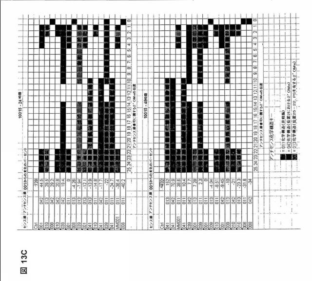 5697993-修飾ＲＮＡｉポリヌクレオチドおよびその使用 図000049