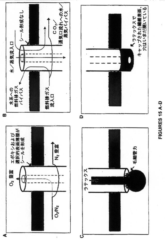 5802890-媒体の成分を吸着する方法 図000049