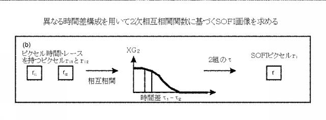 5856252-超解像光ゆらぎイメージング（ＳＯＦＩ） 図000049