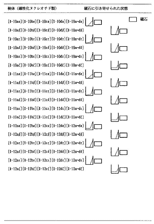 5899577-強磁性を有する核酸の合成方法と利用方法 図000049