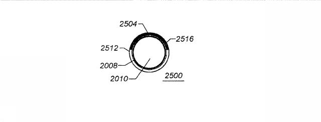 6069392-拡張可能な腸骨シースと使用方法 図000049