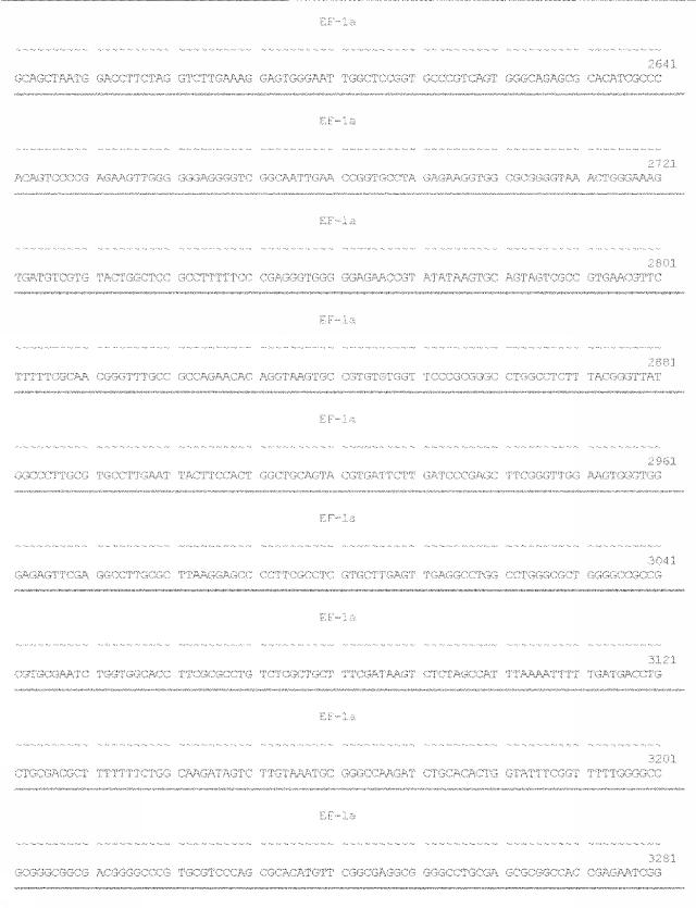 6259766-フラタキシンレベルを増加させる方法および生成物ならびにその使用 図000049