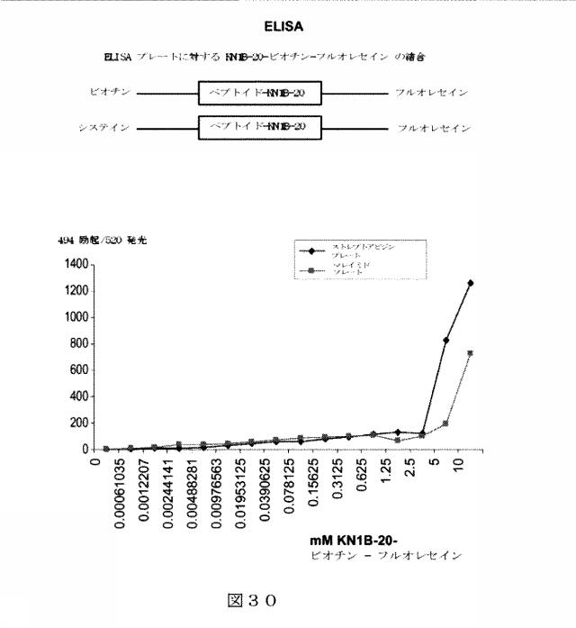 6412798-リガンドライブラリーを用いた診断および処置方法 図000049