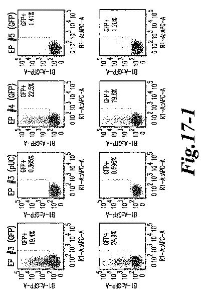 6463672-ＴＣＲアルファ欠損Ｔ細胞を増殖させるためのプレＴアルファまたはその機能性変種の使用 図000049