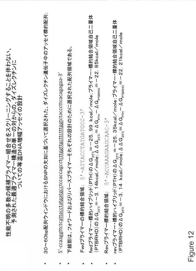 6596442-ＤＮＡ増幅を増強および／または予測するための組成物および方法 図000049