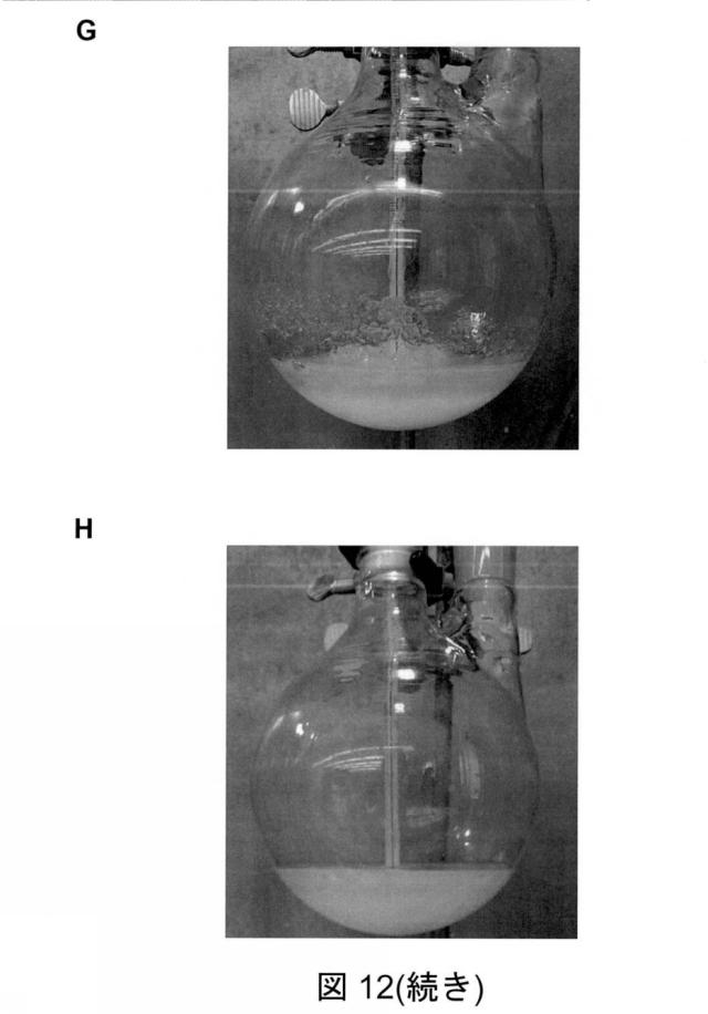 6825082-硫酸リチウムおよび硫酸を含む水性組成物を処理する方法 図000049