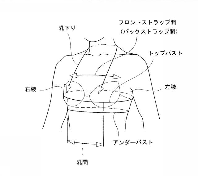 6874237-カップ部用樹脂ワイヤー、及びカップ部付き衣類 図000049