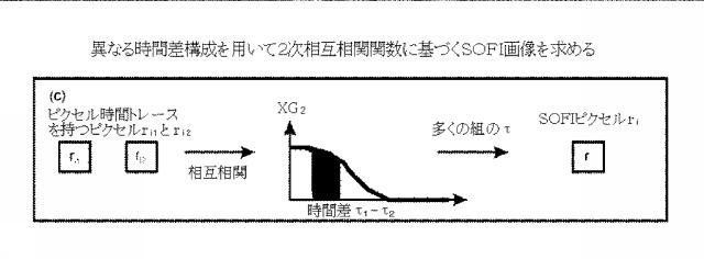 5856252-超解像光ゆらぎイメージング（ＳＯＦＩ） 図000050