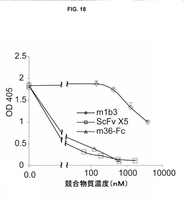 5889533-改変された抗体定常ドメイン分子 図000050