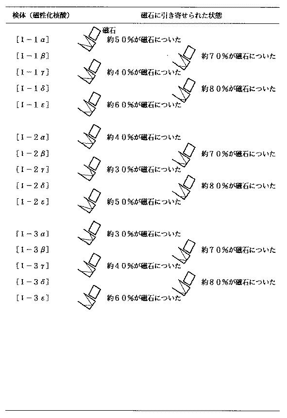 5899577-強磁性を有する核酸の合成方法と利用方法 図000050