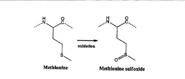 5996824-高純度ＰＴＨ含有凍結乾燥製剤およびその製造方法 図000050