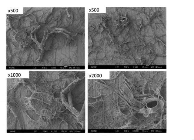 6091589-化学修飾セルロースナノファイバー及び熱可塑性樹脂を含有する繊維強化樹脂組成物 図000050