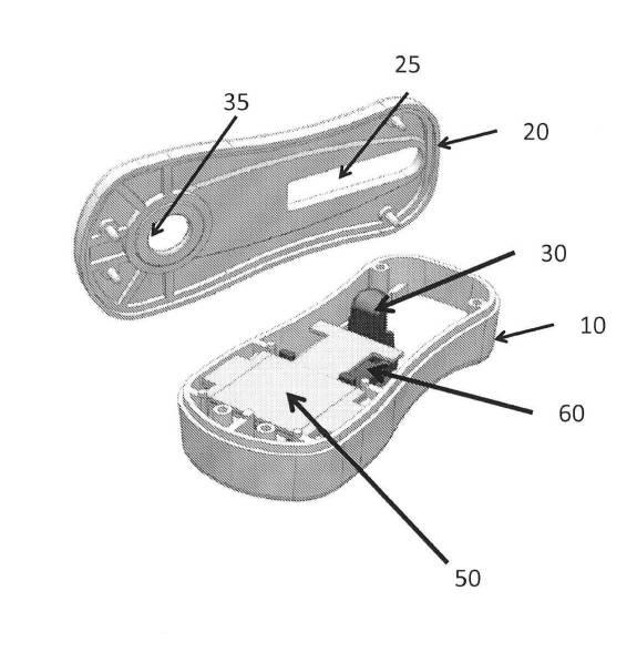 6190395-単一信号で複数被検体を検出する方法及び組成物 図000050