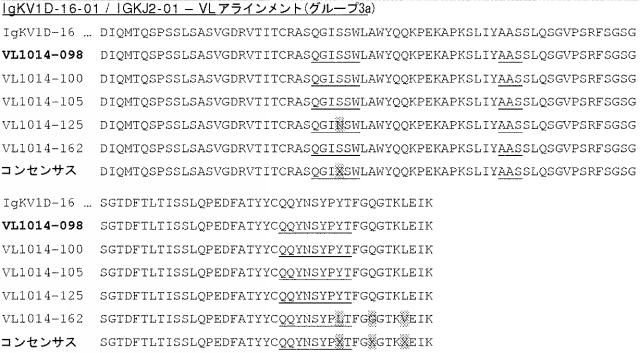 6341963-ＨＥＲ２に対するモノクローナル抗体 図000050