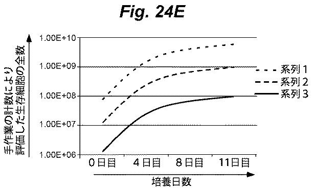 6386447-養子細胞療法のための改良された細胞培養法 図000050