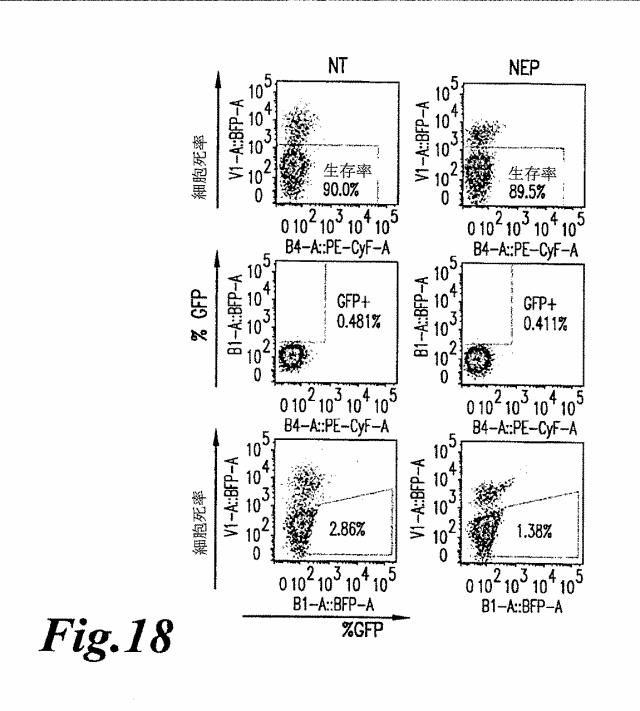 6463672-ＴＣＲアルファ欠損Ｔ細胞を増殖させるためのプレＴアルファまたはその機能性変種の使用 図000050