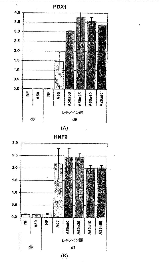 6595041-ＰＤＸ１発現背側及び腹側前腸内胚葉 図000050