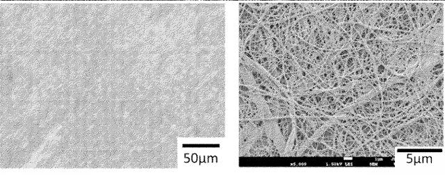 6775160-疎水化セルロース系繊維用の解繊助剤、それを使用する樹脂組成物の製造方法並びに成形体 図000050